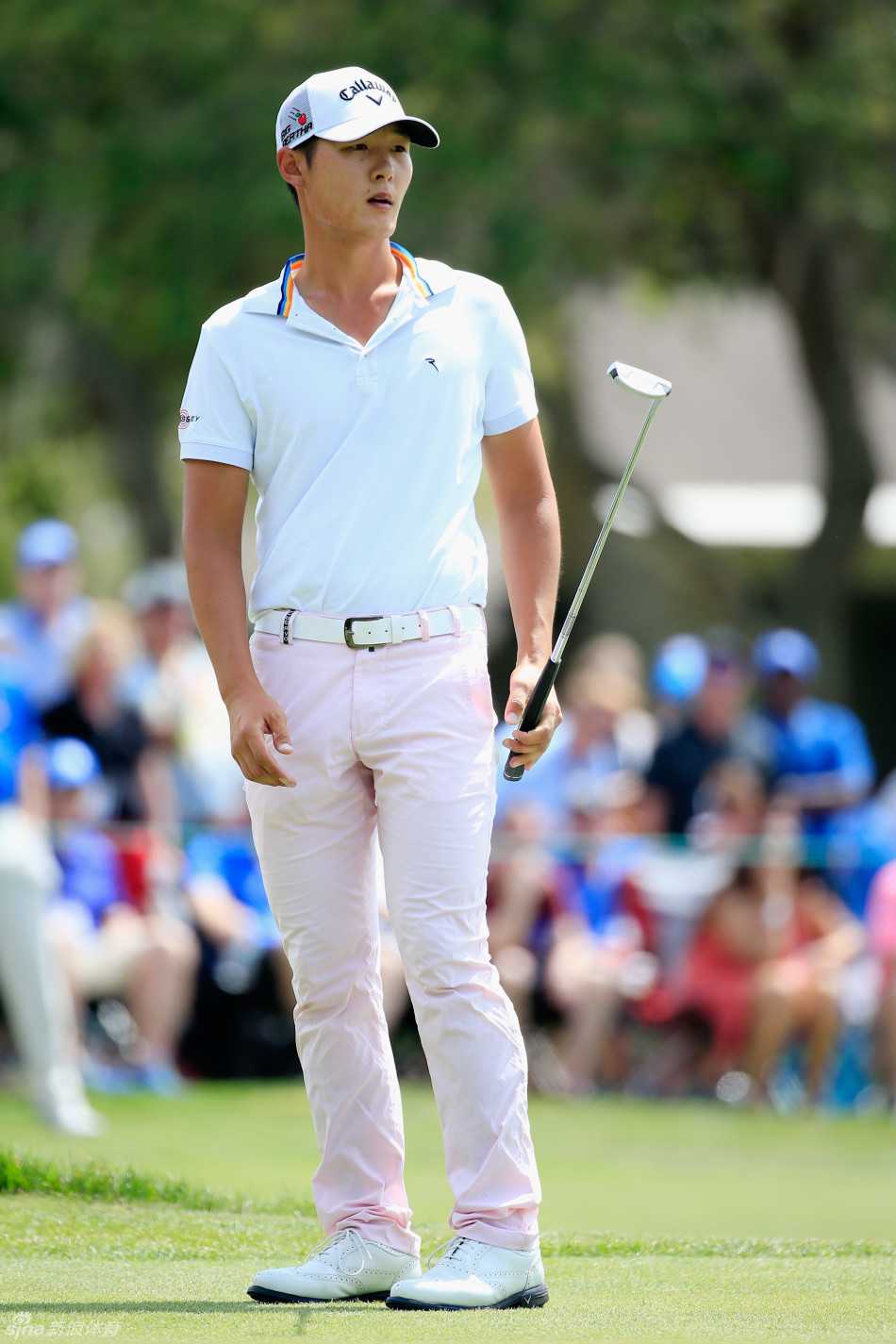 霍夫曼在果岭边缘凝神准备一记关键的切杆救球，他的姿势稳定，计算着让球精准着陆并滚向洞杯