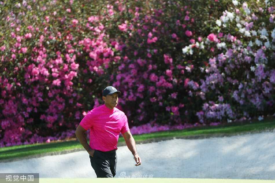王者归来虎啸奥古斯塔五百零八日涅槃路 夕阳下伍兹与球童并肩走向下一个洞,拉长的身影诉说着一天的奋战与坚持。