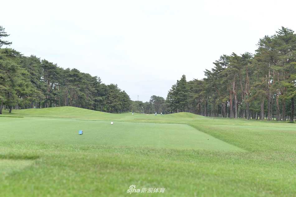 球场巡礼:日本茨城高尔夫俱乐部,大满贯的荣耀殿堂 球道在茂密的树林中向前延伸,形成一条充满诱惑与未知的绿色隧道,邀请球手开启一场探索与征服之旅。