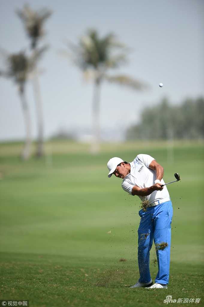 一只中东特有的刺尾蜥蜴趴在沙坑边缘，好奇地张望着远处的球场