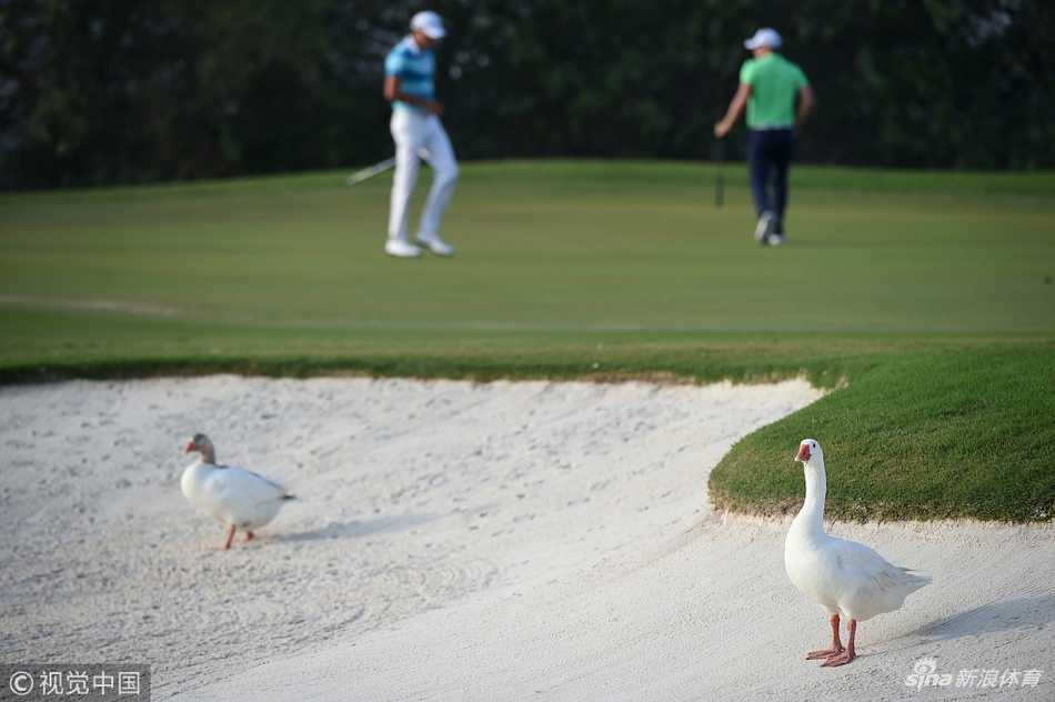 夕阳下的卡塔尔球场美景，沙丘与绿洲交相辉映，宛如金色画卷